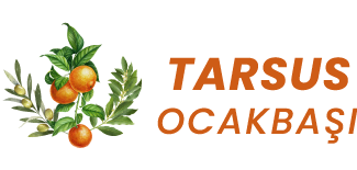 TO LOGO TRANSPARAN